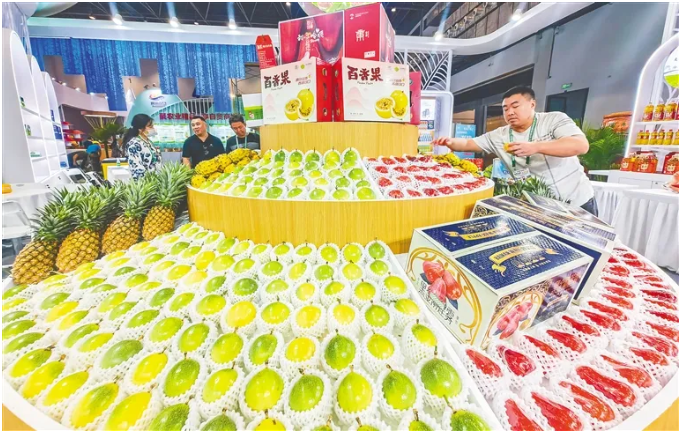 搜狗截圖24年12月06日1000_1 搜狗截圖24年12月06日1000_1